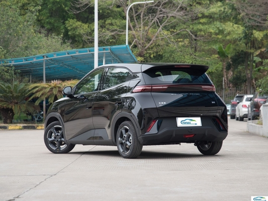 Seagull -2024 Glory Versión 305Km Versión voladora Coche eléctrico para Byd La mejor opción