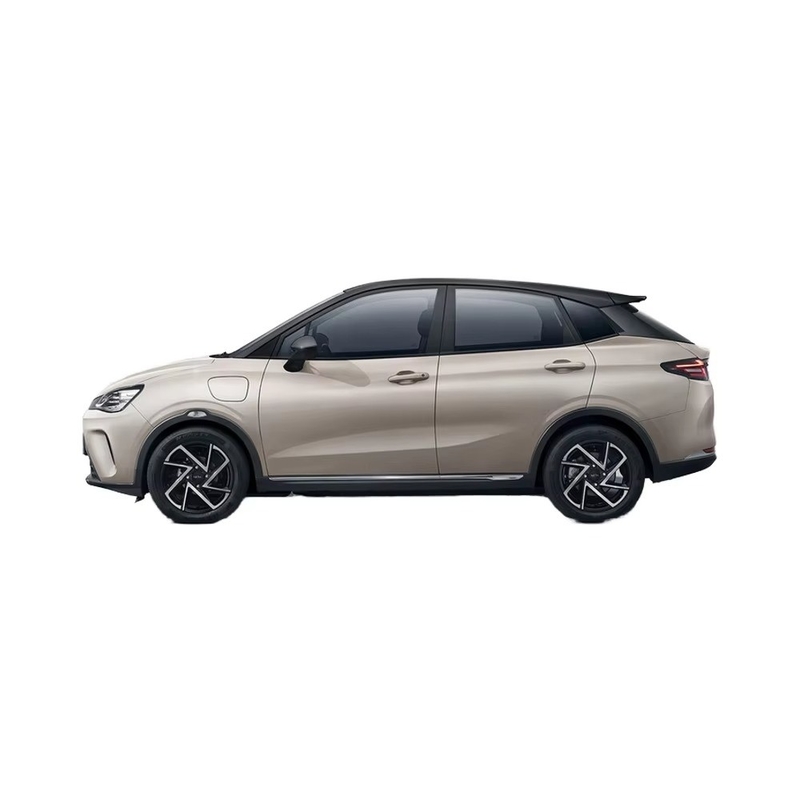 2024 Neta Aya 401 318 Lite Hatchback eléctrico chino de vehículos eléctricos de pasajeros vehículo energético